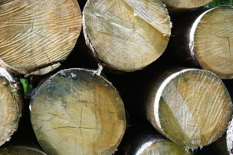 Träindustriarbetare inom stolpbearbetning image