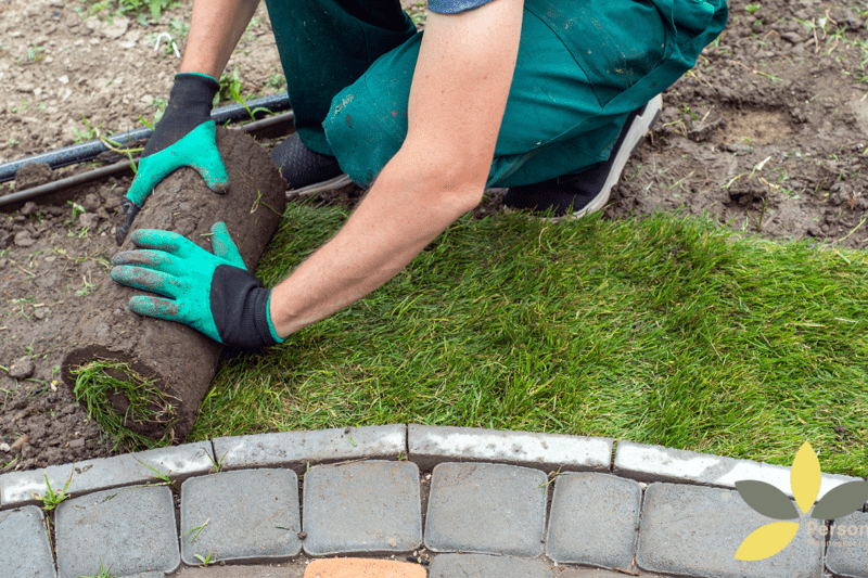 Faglærte Anlægsgartnere og Arborister – Greve image