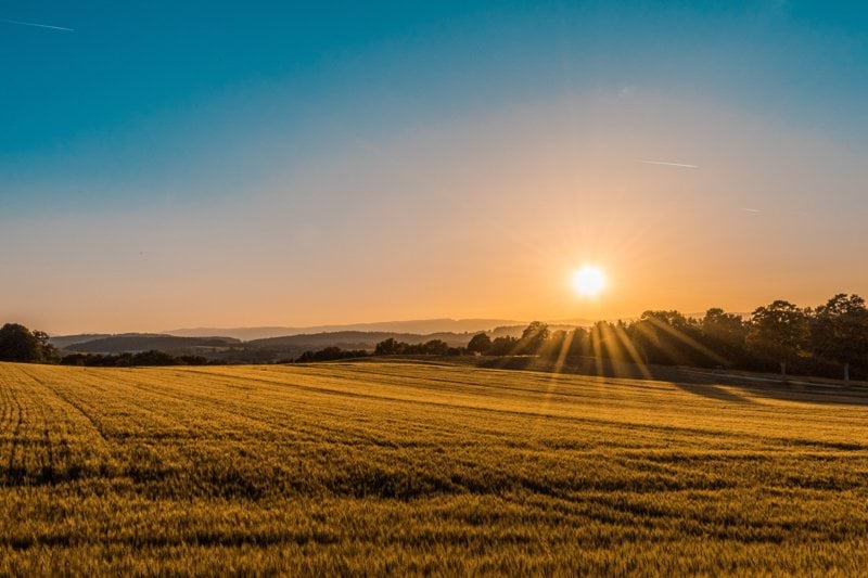 Vi rekryterar en vit älg med kunskaper inom biogas image