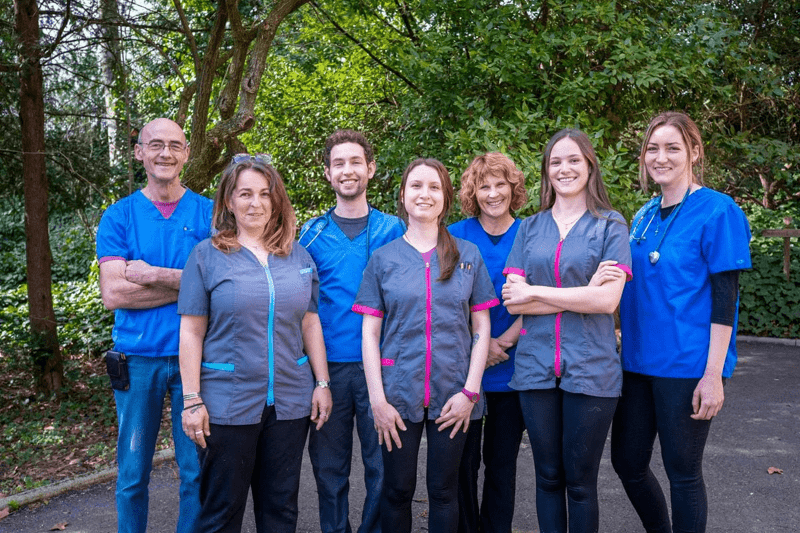 LIVRON - VETERINAIRE CANIN EN CDD 1 AN (H/F) image