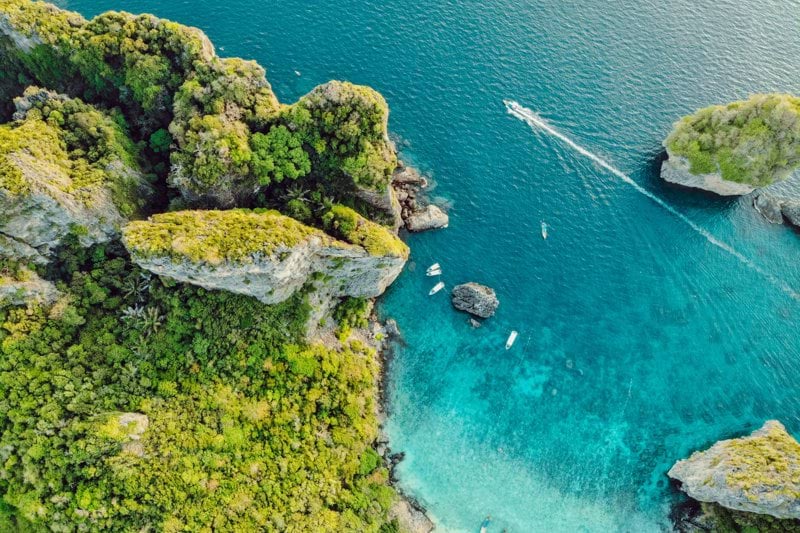 Chief Kitchen Steward image