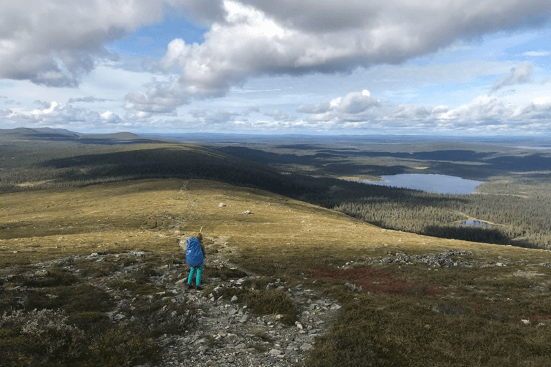 Ravintolapäällikkö, Harriniva Adventure Resort, Muonio image