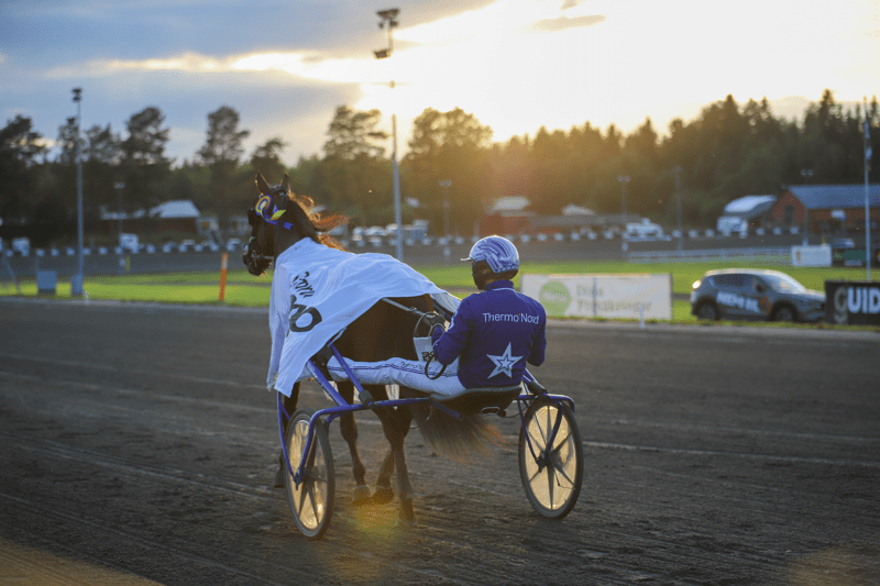 Chefsjurist till Svensk Travsport image