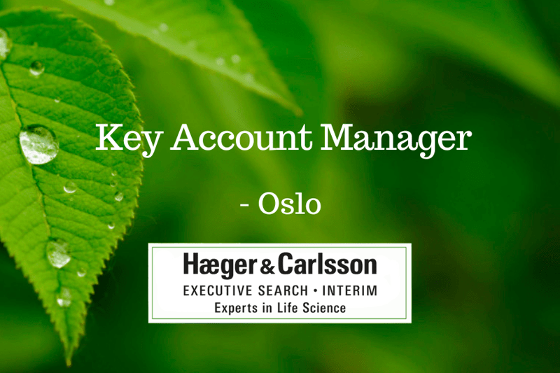 Key Account Manager - Oslo image