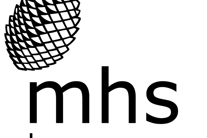 MHS Homes - NED (Risk) image