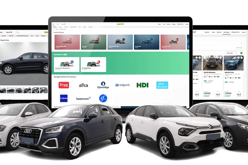 Director of Data image