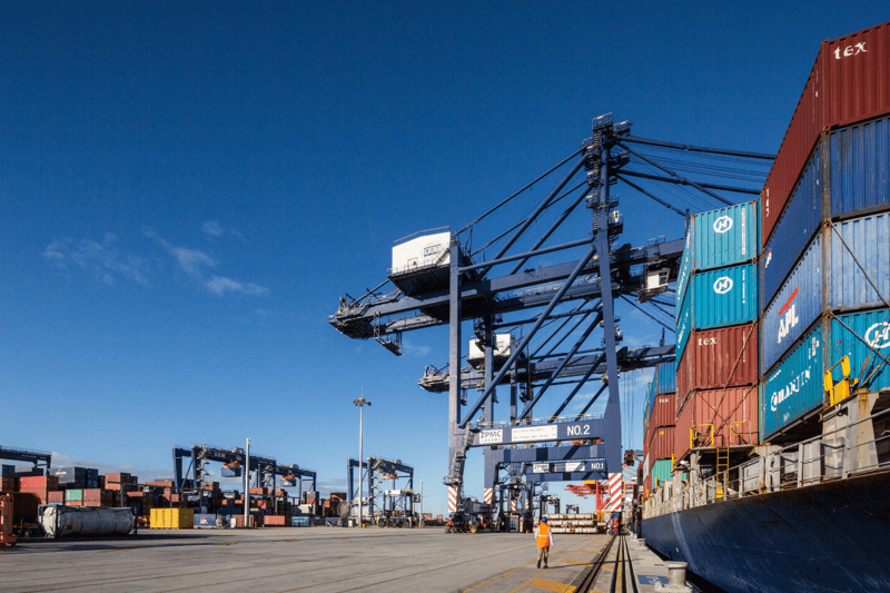 Stevedore - Casual image