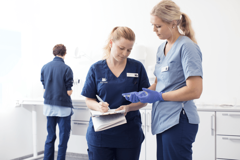 Leitende Tiermedizinische Praxisassistenz 80-100 % (w/m/d) - Thun image