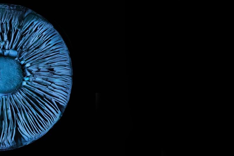 Kierownik Produkcji image