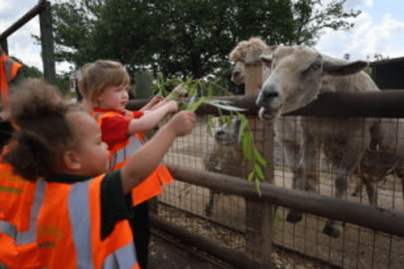 Nursery Practitioner (SENCo) image