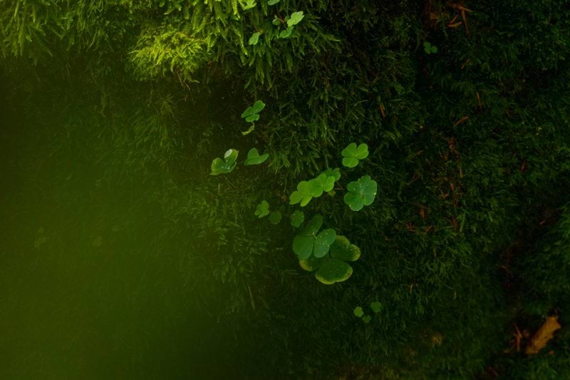 Interim driftchef inom elnät, drift och underhåll sökes till Sandviken! image