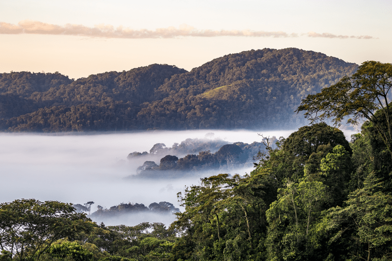 Accounting Manager til Hempel Fonden image