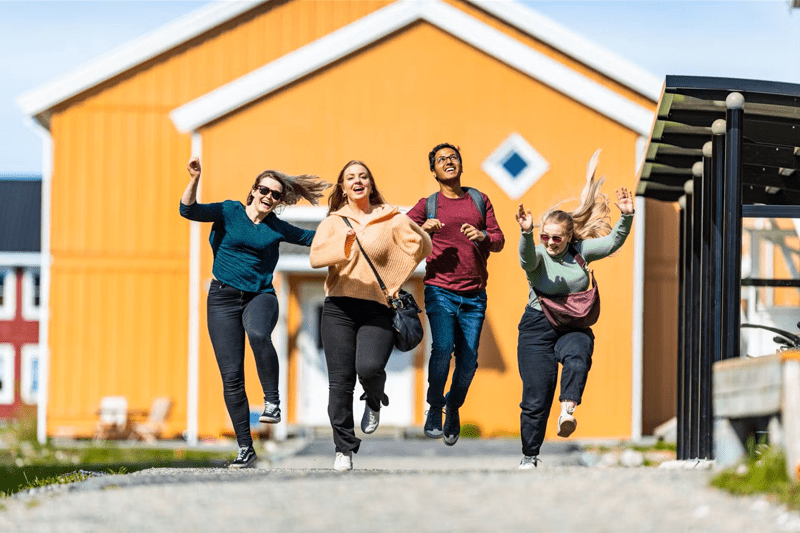 Leder kommunikasjon og marked - Norges arktiske studentsamskipnad image