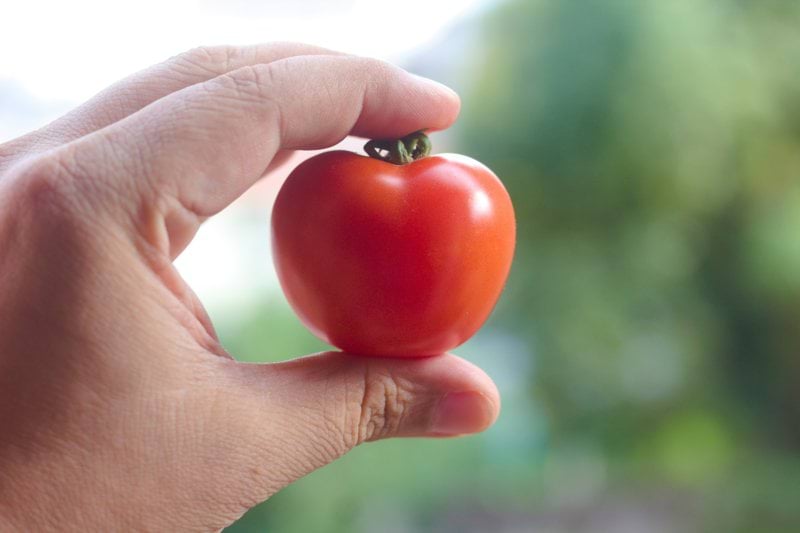 Senior Grower image