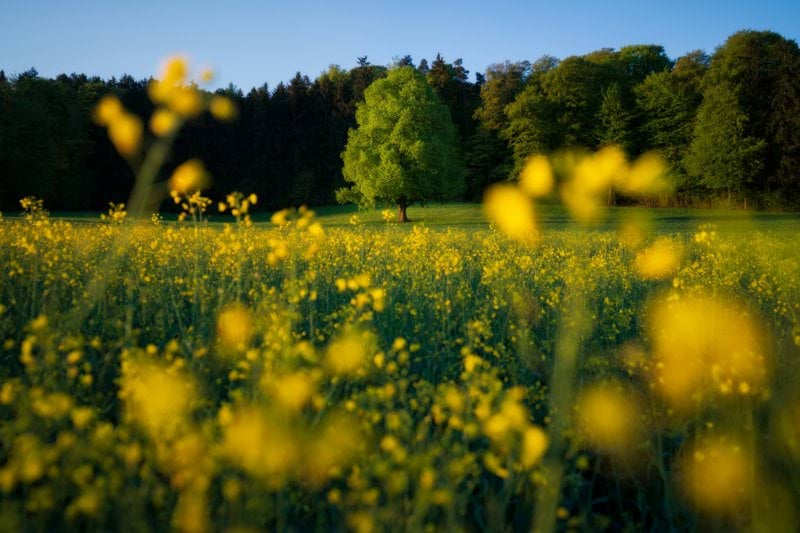 Ekonomicontroller – Kinna image