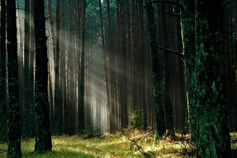 IT-supporttekniker - Oskarshamn image