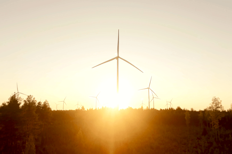 Investor Relations Analyst image