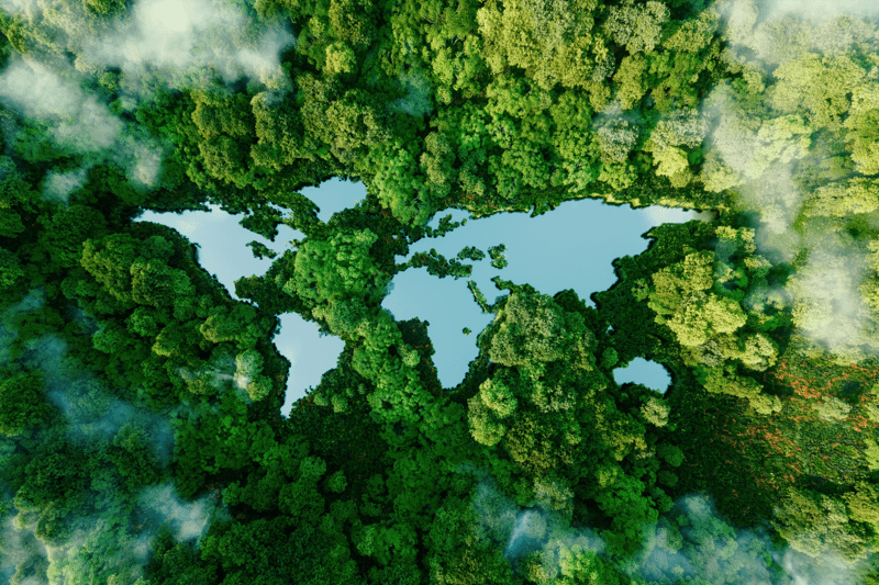 Decarbonisation Lead image