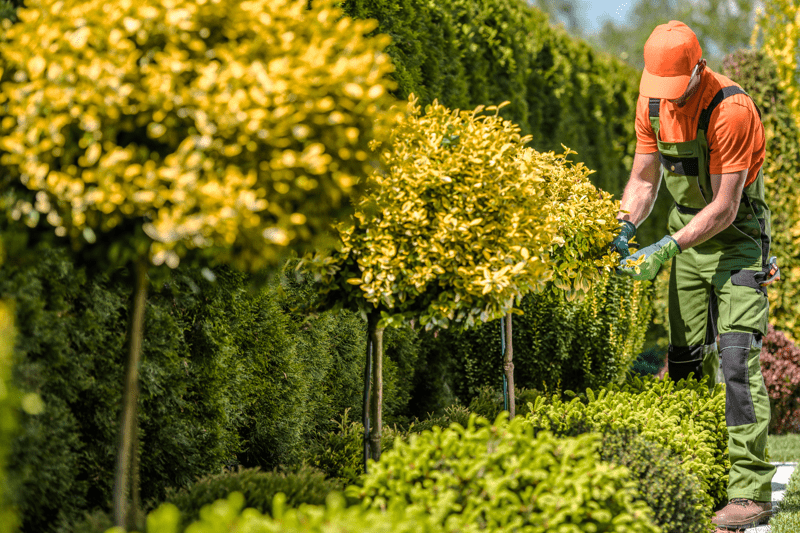 Ouvrier(ère) Paysagiste en Entretien des Espaces Verts H/F - Mugo - 78 image