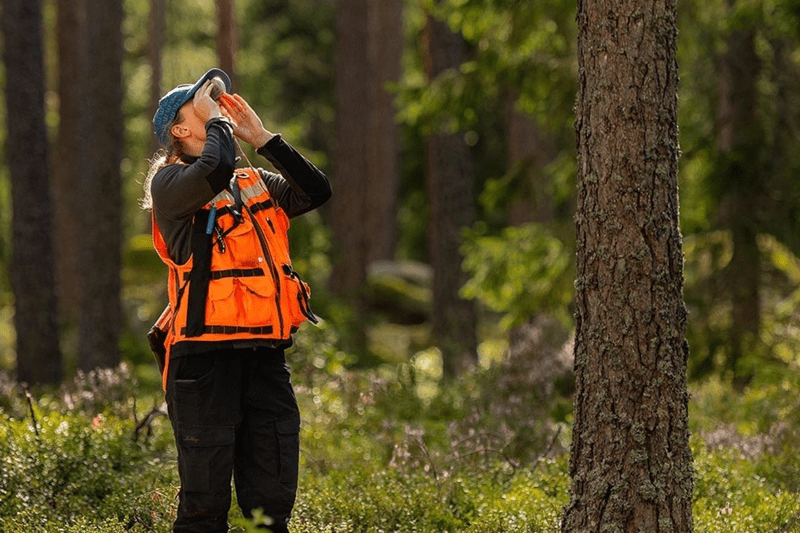 Sveaskog - CloudOps Engineer image