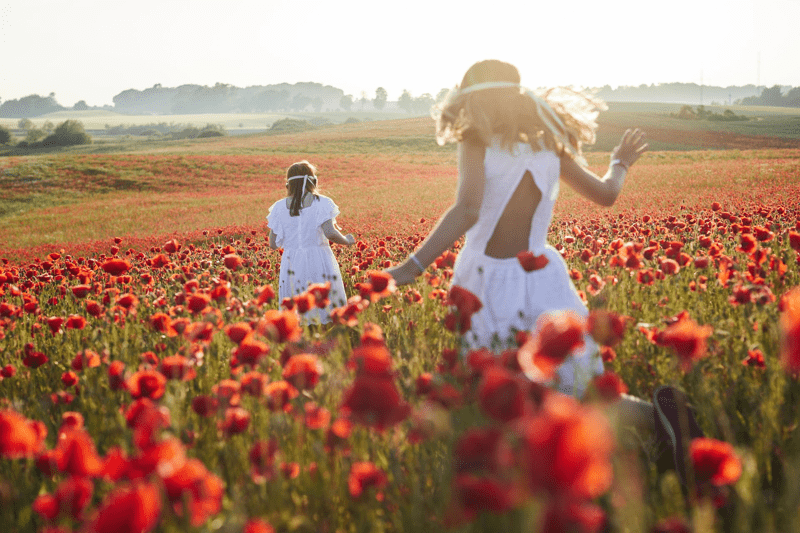 Sales Representative image