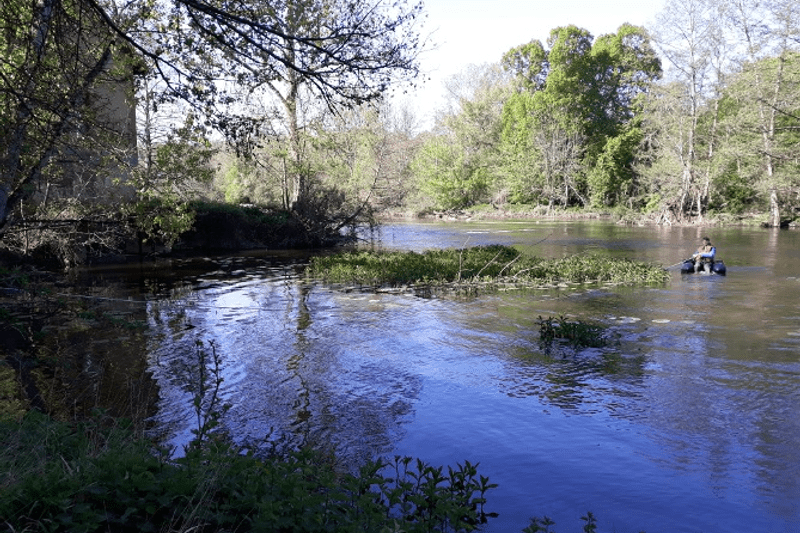 Chargé.e de projets Hydraulique et Milieux aquatiques H/F - Stage image