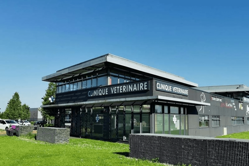 Vétérinaire généraliste H/F – Métropole lilloise image
