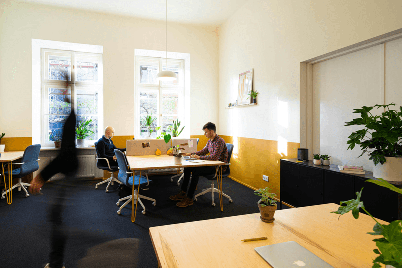 Inkassorådgivare till Intrum image