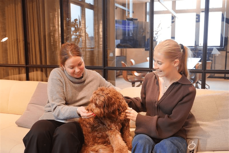 Marketing Designer, Internship image