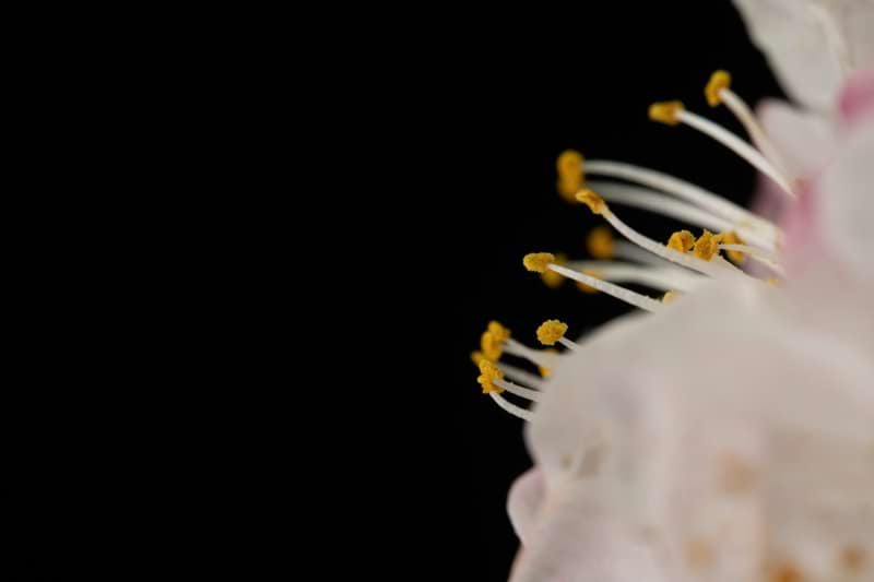 Projektledare inom Fastighetsautomation till Luleå image