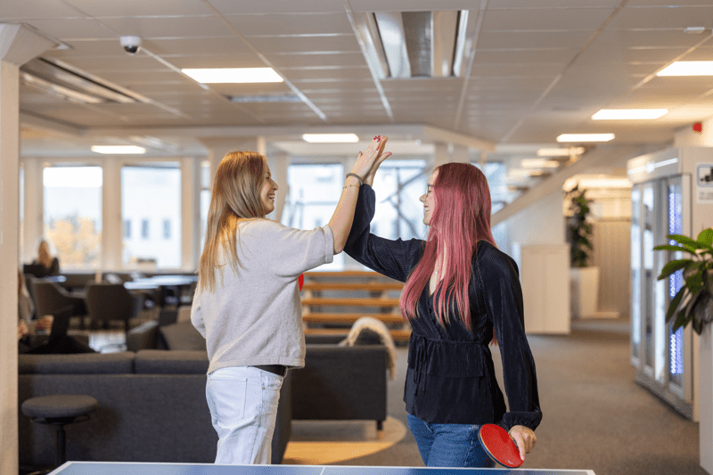 Systemansvarig fordonsnära system image