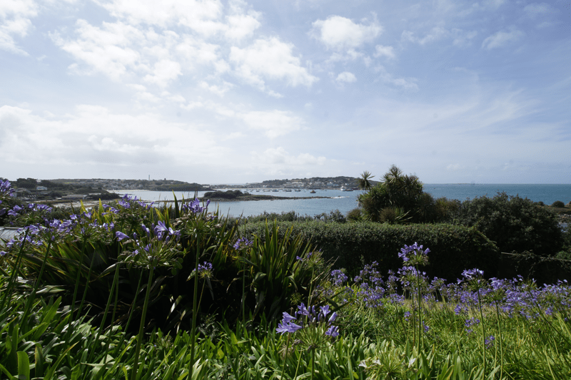 Operations Technician image