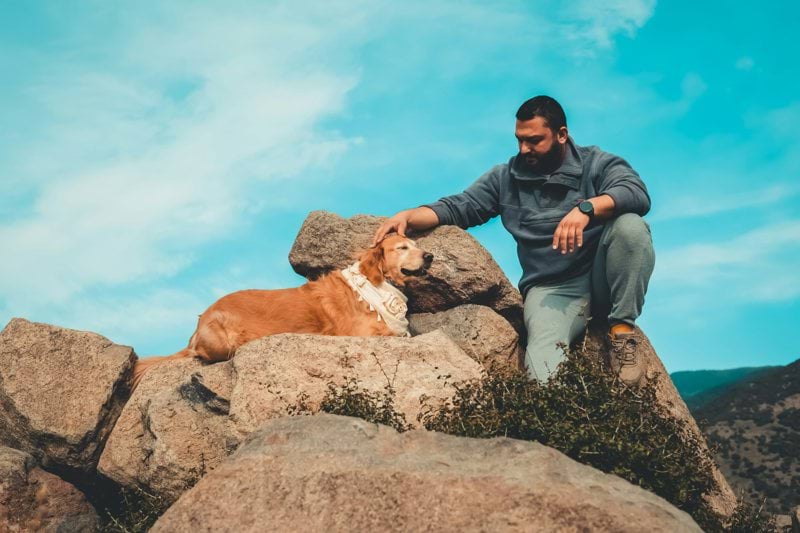 Sales Recovery Specialist - Pet Supplements image