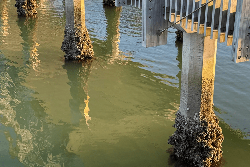Water Blast Technician - Marine image