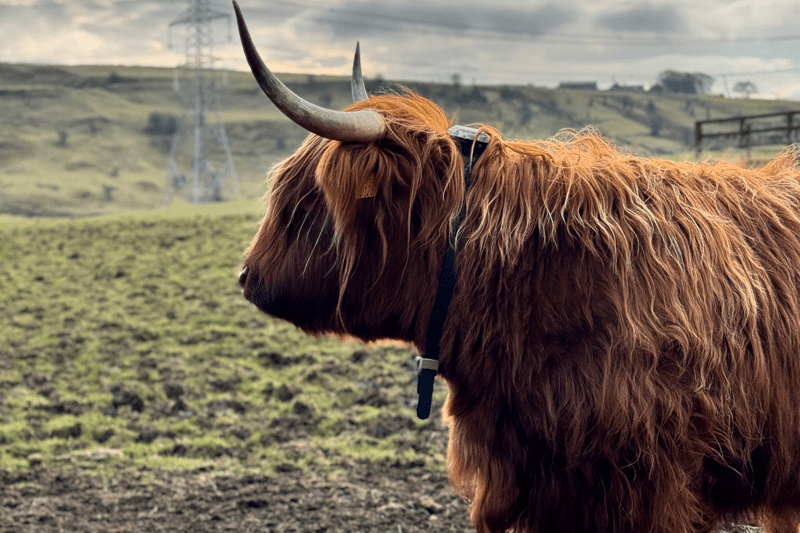 Farmers Success Manager UK image