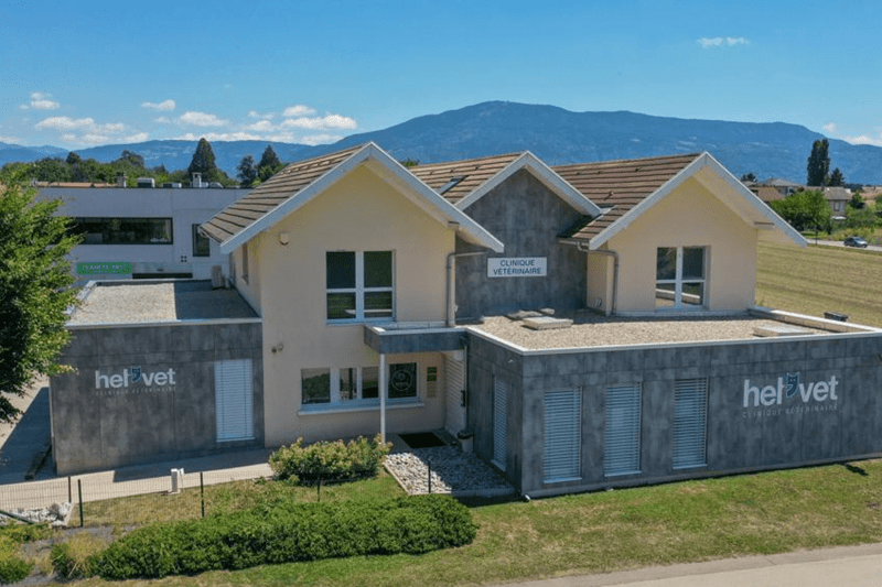 Veigy-Foncenex – Hel'Vet – Vétérinaire canin en CDI (H/F) image