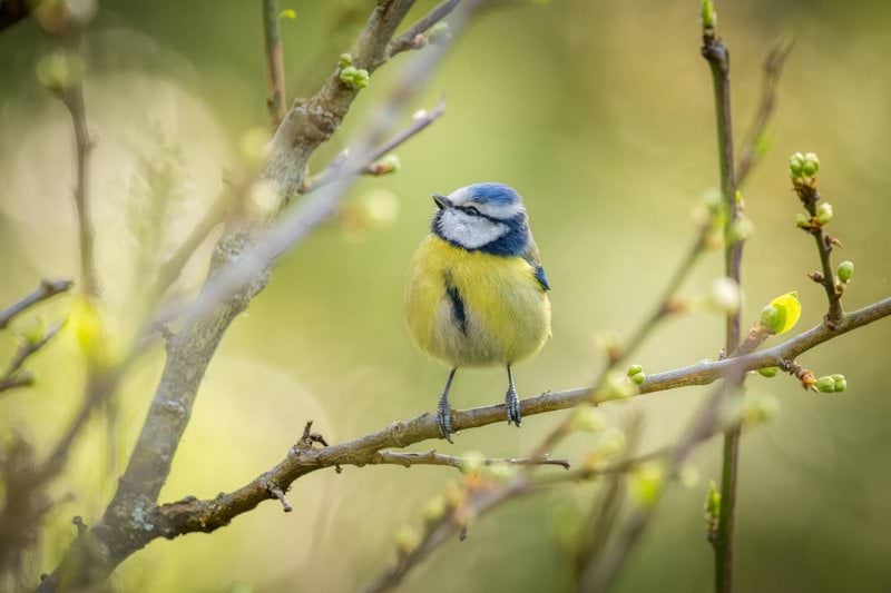 Sairaanhoitaja Kuopion seutu image