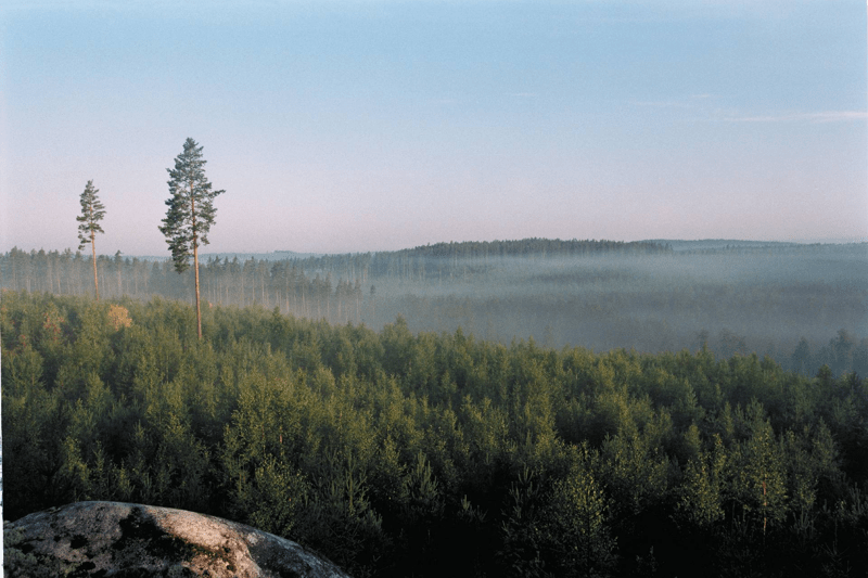 Produktionsplanerare till Setra Hasselfors image