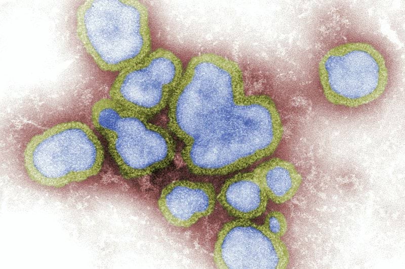 Docentes para el Máster Universitario en Epidemiología y Salud Poblacional image