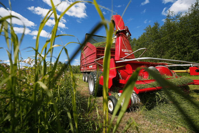 Kenttämyynnin myyntipäällikkö image
