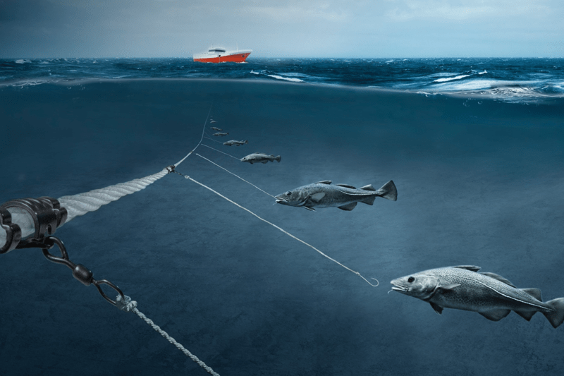 Leder Catch Line Tech - Mørenot Fishery image