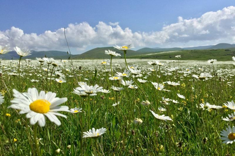 Sommarvikarie i Finspång & Norrköping med omnejd image