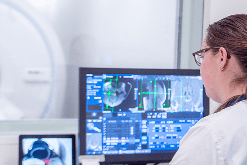 Vétérinaire Spécialiste en Imagerie – Clinique Vétérinaire Champ du Roi image