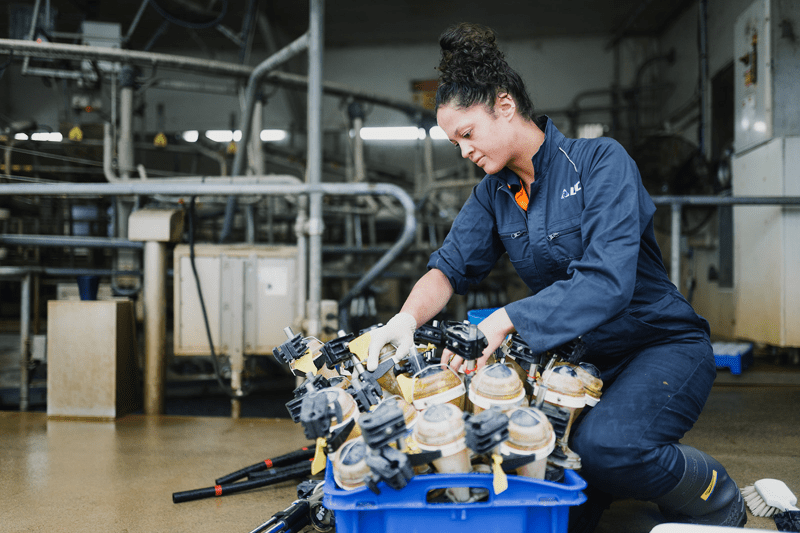 On Farm Assist - Seasonal work across NZ - Expression of Interest image