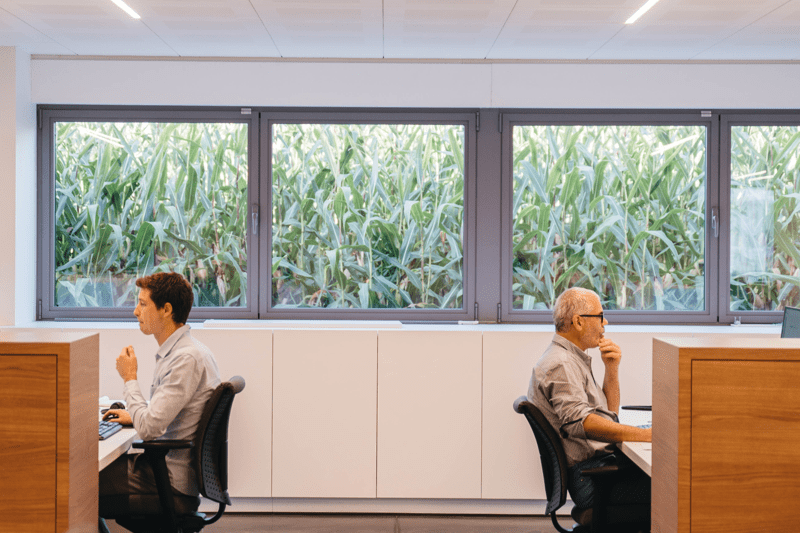 Marketing Manager image