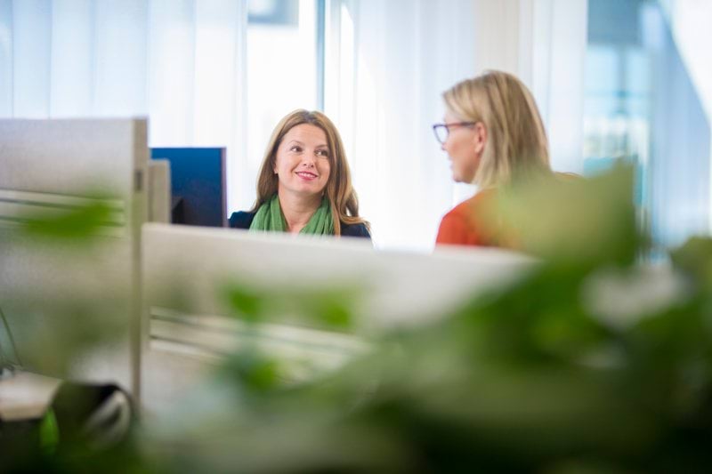 Quality & Service Support Specialist image