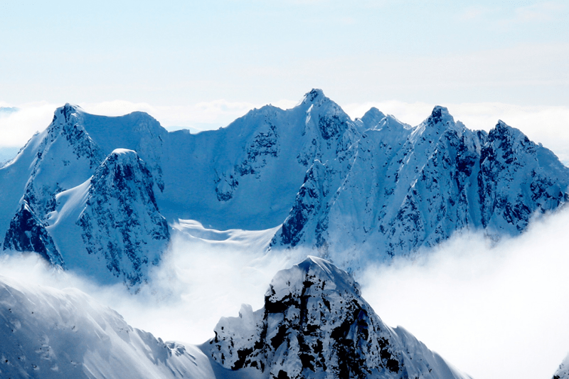 Macks Ølbryggeri søker Nasjonal Salgssjef image