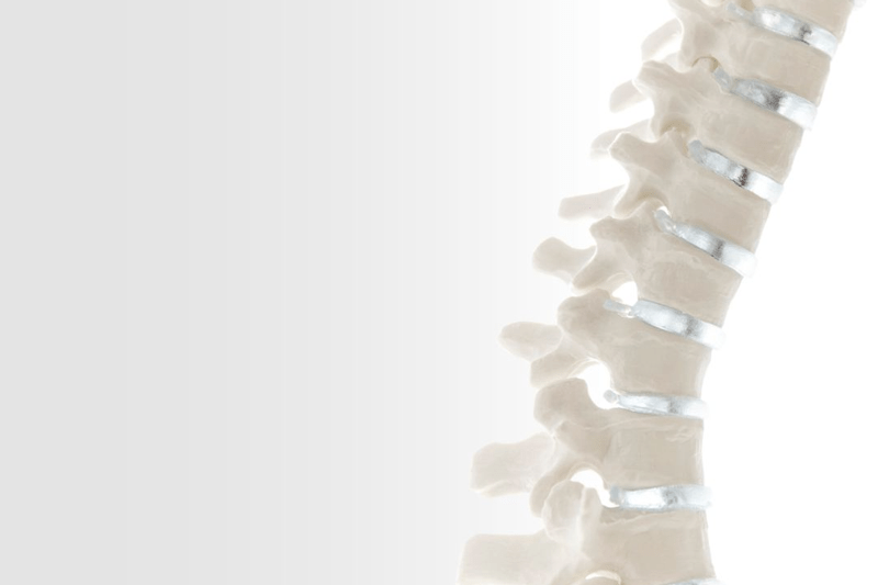 Clinical Support Ortopedia - Coimbra image