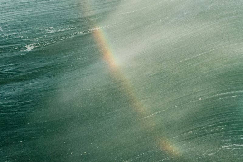 Vi söker engagerade sommarvikarier image