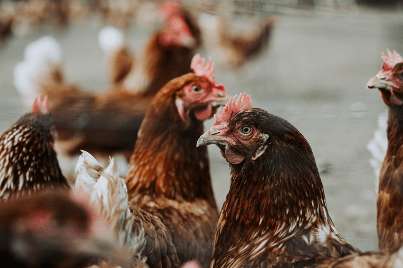 Warehouse Packer image